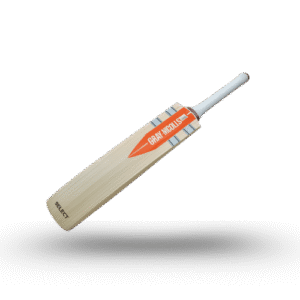 BSR Heavy Cricket Bat